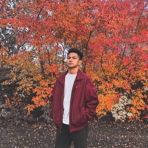 Meet your Posher, Andrei kyle louis